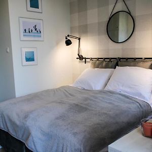 Executive Appartement